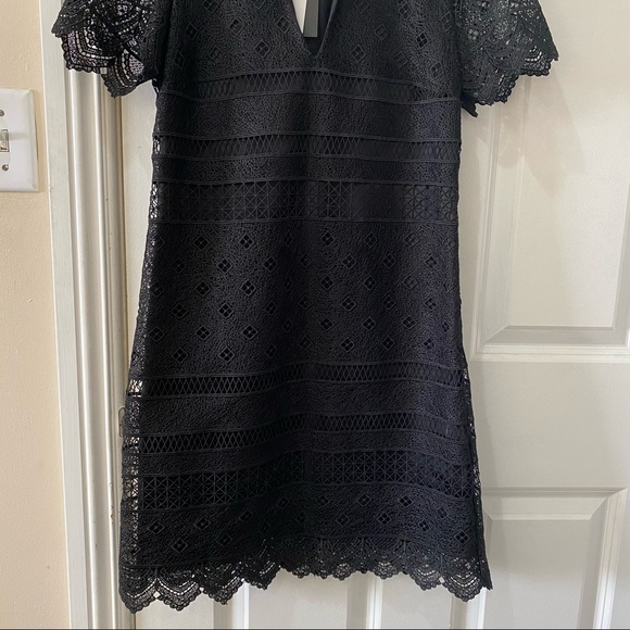 NWT Zara Black Lace Collared Shift A Line Dress XS - Picture 13 of 14
